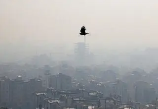  از فردا غبارآلود می‌شود
