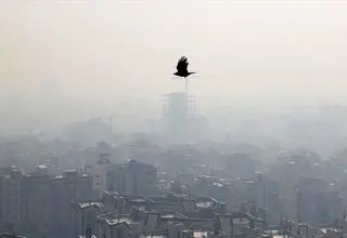  از فردا غبارآلود می‌شود