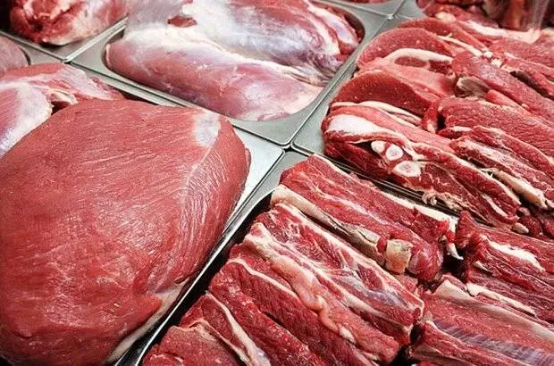 ثبت سفارش واردات ۴۰ هزار تن دام زنده