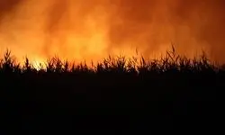 بخش عمده آتش‌سوزی تالاب هورالعظیم مهار شد