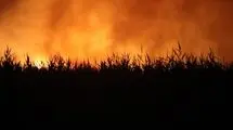 بخش عمده آتش‌سوزی تالاب هورالعظیم مهار شد