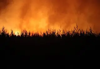بخش عمده آتش‌سوزی تالاب هورالعظیم مهار شد