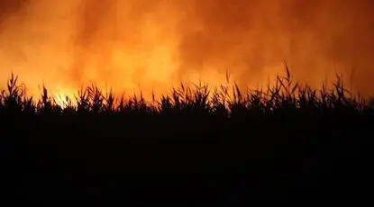 بخش عمده آتش‌سوزی تالاب هورالعظیم مهار شد