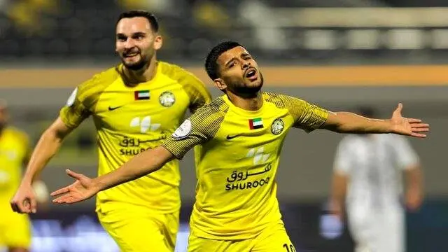 ببرها، ولکن قایدی نیستند