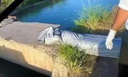 شباهت پرونده قتل ملیکا 22 ساله و الهه حسین نژاد