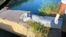 شباهت پرونده قتل ملیکا 22 ساله و الهه حسین نژاد