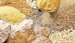 حمل یک میلیون و ۸۲ هزار و ۵۶۴ تن نهاده دامی به استانها