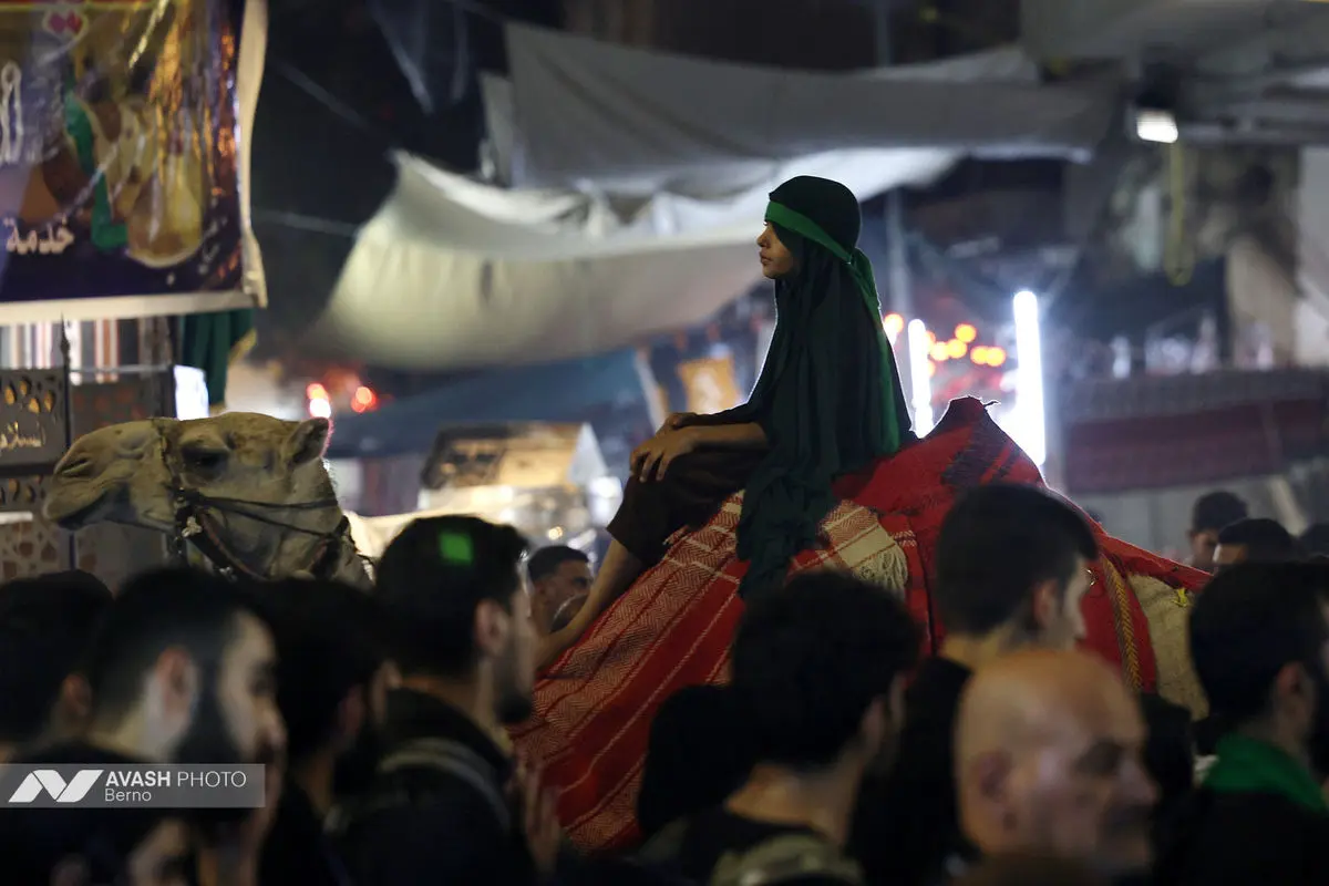 زائران اربعین در مسیر نجف به کربلا