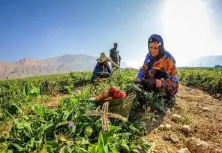 بیمه تامین اجتماعی مادران رایگان شد