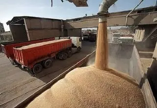 جریان تخلیه و بارگیری نهاده‌ها در بنادر اصلی کشور در جریان است