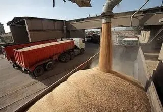 جریان تخلیه و بارگیری نهاده‌ها در بنادر اصلی کشور در جریان است