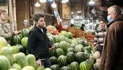 سازمان تعاون روستایی طرح مصوب مستقلی برای توزیع میوه شب یلدا ندارد