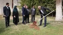 پزشکیان: مردم با مشارکت در کاشت درخت به بهبود محیط زیست کشور کمک کنند 