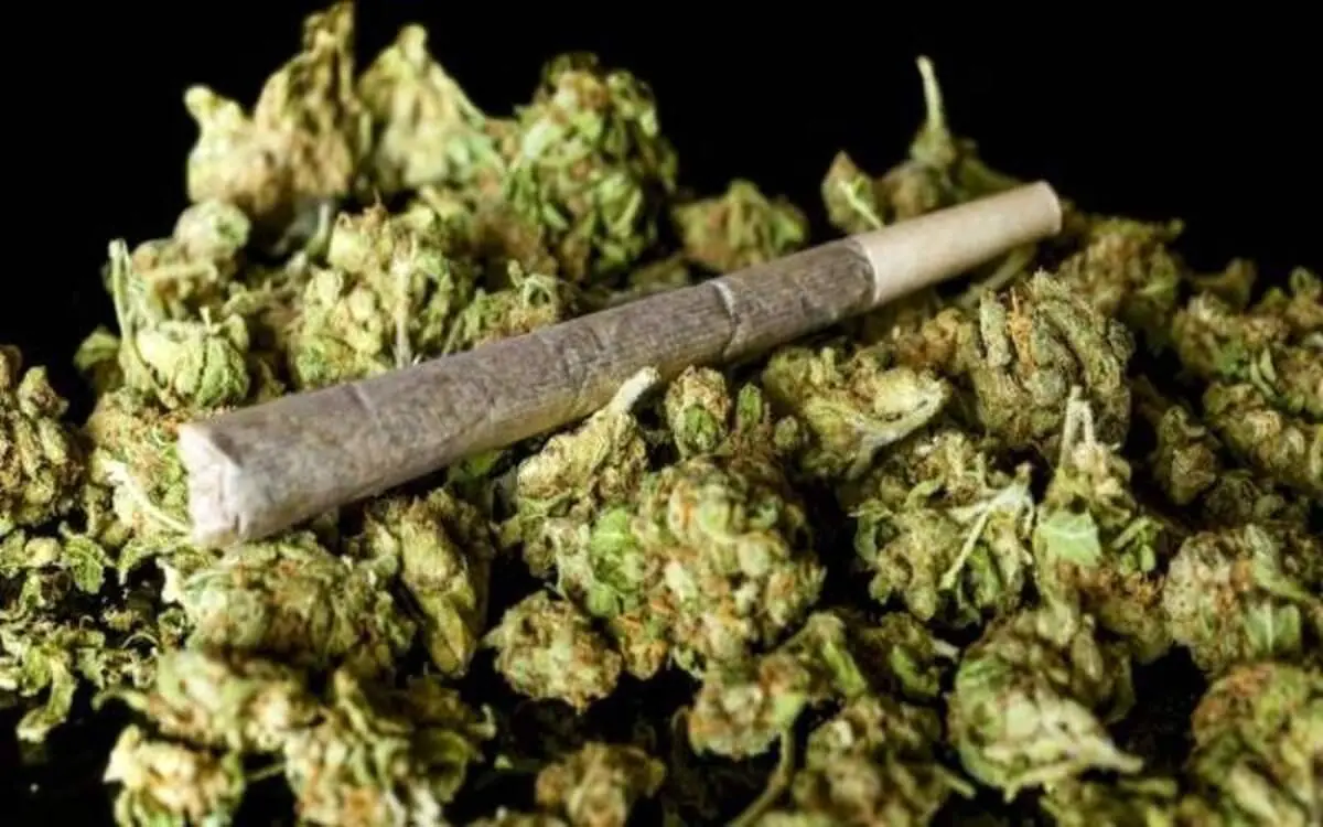 مصرف کننندگان گل تهرانی، امروز دستشان خالی ماند!