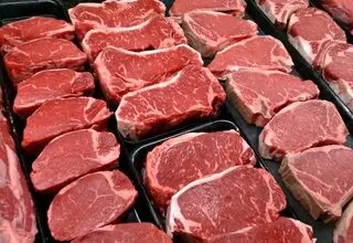 با افزایش واردات؛ گوشت ارزان می‌شود