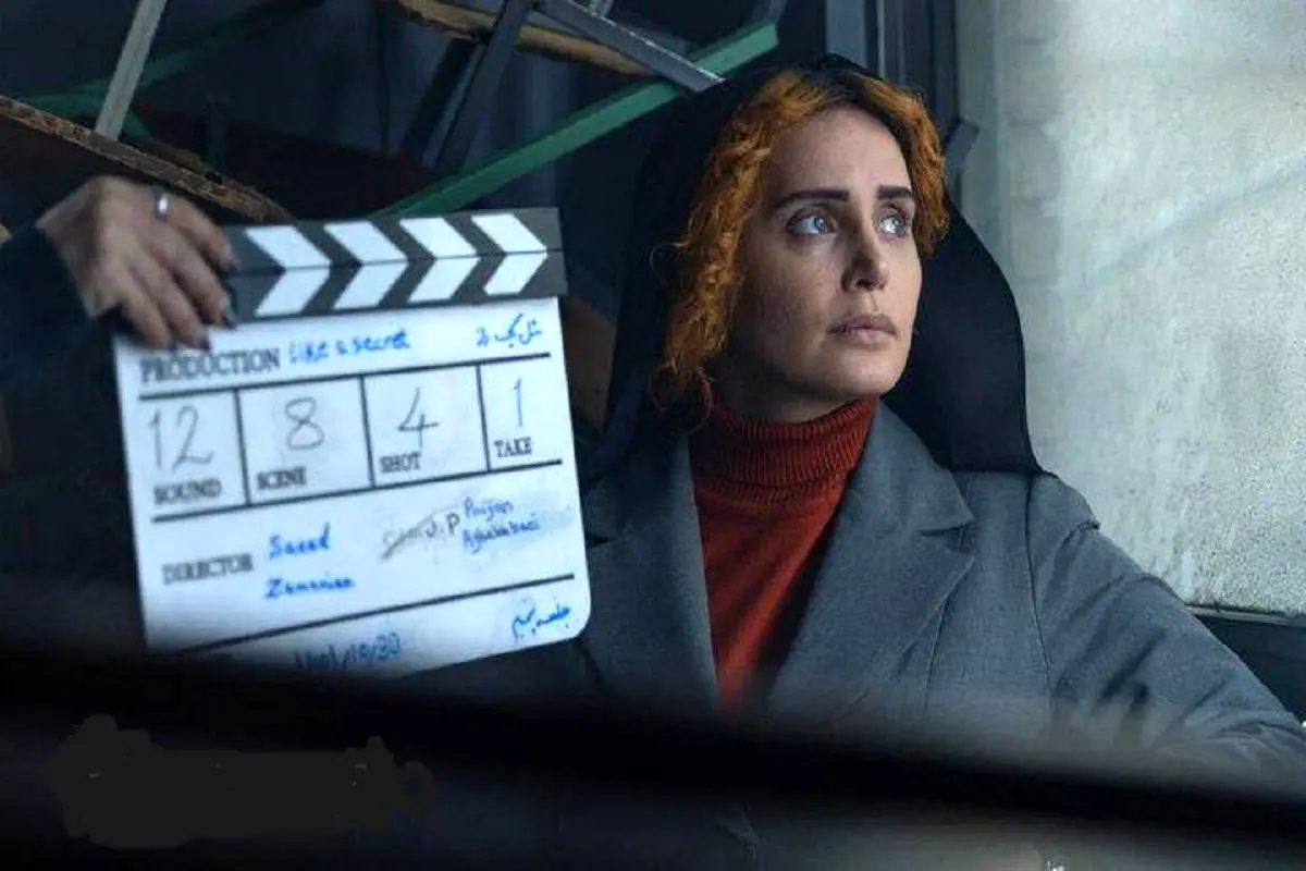 جشنواره فیلم پورتوبلو میزبان «مثل یک راز» شد