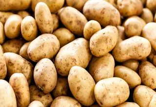 سیب‌زمینی و گوجه‌فرنگی ارزان شد