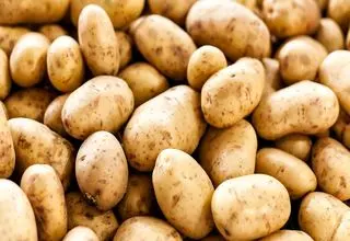 سیب‌زمینی و گوجه‌فرنگی ارزان شد