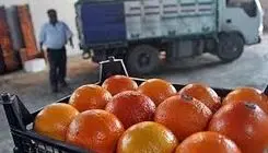 اتحادیه بارفروشان تهران شایعه تزریق سم به پرتقال را تکذیب کرد
