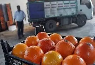 اتحادیه بارفروشان تهران شایعه تزریق سم به پرتقال را تکذیب کرد