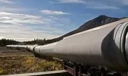 توضیح شرکت خطوط لوله و مخابرات نفت منطقه مرکزی درباره حادثه نشتی خط لوله نفت خام