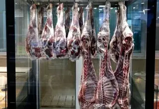 عرضه گوشت گوسفندی مغولی یخ‌زده ۷۵۰ هزار تومان؛ گوشت هندی ۷۳۰ هزار تومان