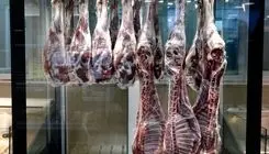 عرضه گوشت گوسفندی مغولی یخ‌زده ۷۵۰ هزار تومان؛ گوشت هندی ۷۳۰ هزار تومان