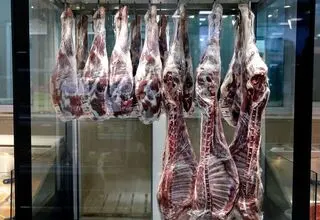 عرضه گوشت گوسفندی مغولی یخ‌زده ۷۵۰ هزار تومان؛ گوشت هندی ۷۳۰ هزار تومان