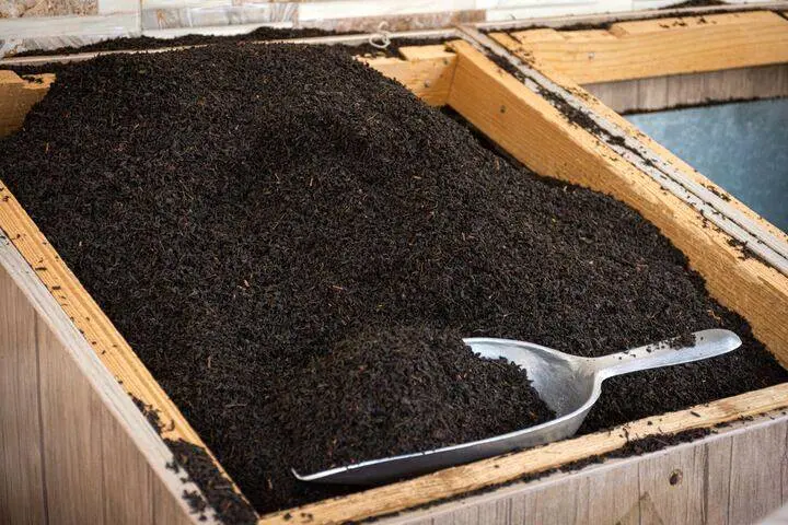 اعلام  زمان ثبت سفارش چای سهمیه پاییز ۱۴۰۴