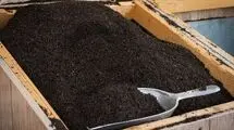 اعلام  زمان ثبت سفارش چای سهمیه پاییز ۱۴۰۴