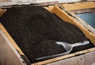 اعلام  زمان ثبت سفارش چای سهمیه پاییز ۱۴۰۴