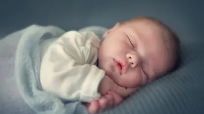 پارادوکس زاد و ولد