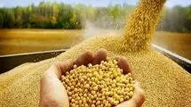 برگزاری نشست بررسی علت التهاب در بازار نهاده‌های دامی و نارضایتی دامداران 