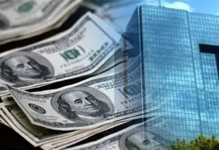 صندوق هیچ کمک بلاعوضی برای واردات کالاهای اساسی ندارد
