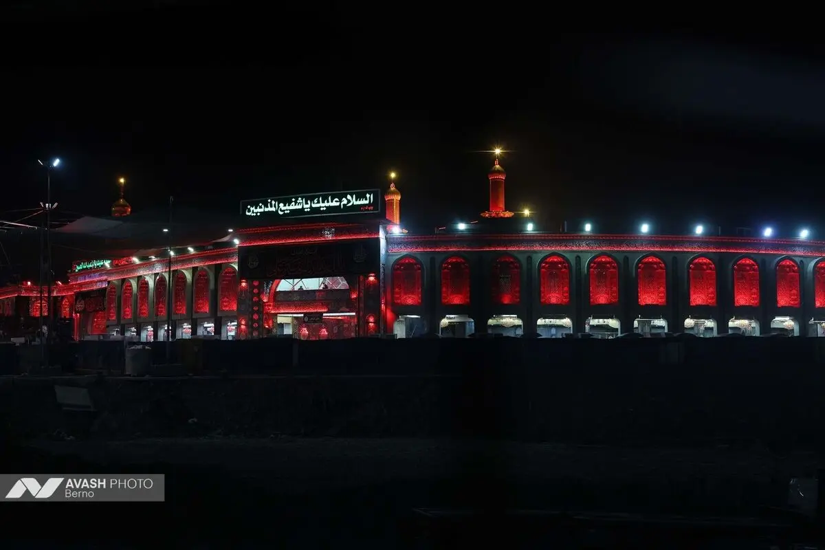 زائران اربعین در مسیر نجف به کربلا