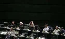 حاجی‌بابایی: مجلس موافق افزایش اعتبار کالابرگ الکترونیکی است