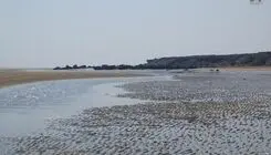موج جدید آلودگی نفتی در سوزای قشم مشاهده شد