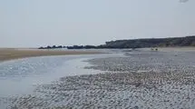 موج جدید آلودگی نفتی در سوزای قشم مشاهده شد