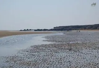 موج جدید آلودگی نفتی در سوزای قشم مشاهده شد