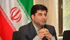 صادرات تخم مرغ همچنان ممنوع است