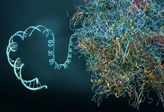  کپسول زمان سلولی ساخته شد