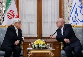 دیدار نوروزی محمدرضا عارف با رئیس مجلس 