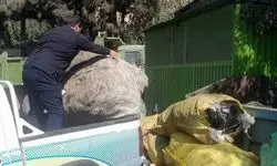 طرح ضربتی با جمع آوری غیرمجاز پسماند خشک اجرا شد
