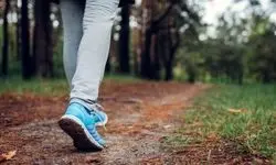 برای از بین رفتن چربی‌‌ها بدن صبح‌ها به پیاده‌روی برویم یا عصر؟