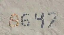 جنجال عدد ۸۶۴۷؛ عذرخواهی رئیس سابق اف‌بی‌آی پس از واکنش‌ها