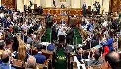 نماینده پارلمان مصر: پشت پرده دیدار با ایران چیست؟