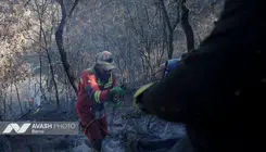 وقوع حریق در گونیلی کلاله