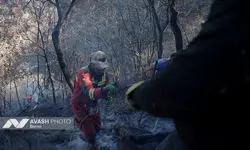 وقوع حریق در گونیلی کلاله