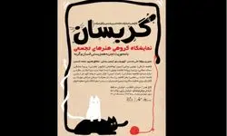 نمایشگاه «گربسان» بازتاب تجربی از همزیستی انسان و گربه