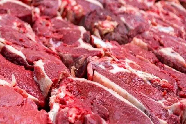 شهریورماه؛ اعلام پایان فرایند ثبت سفارش واردات گوشت